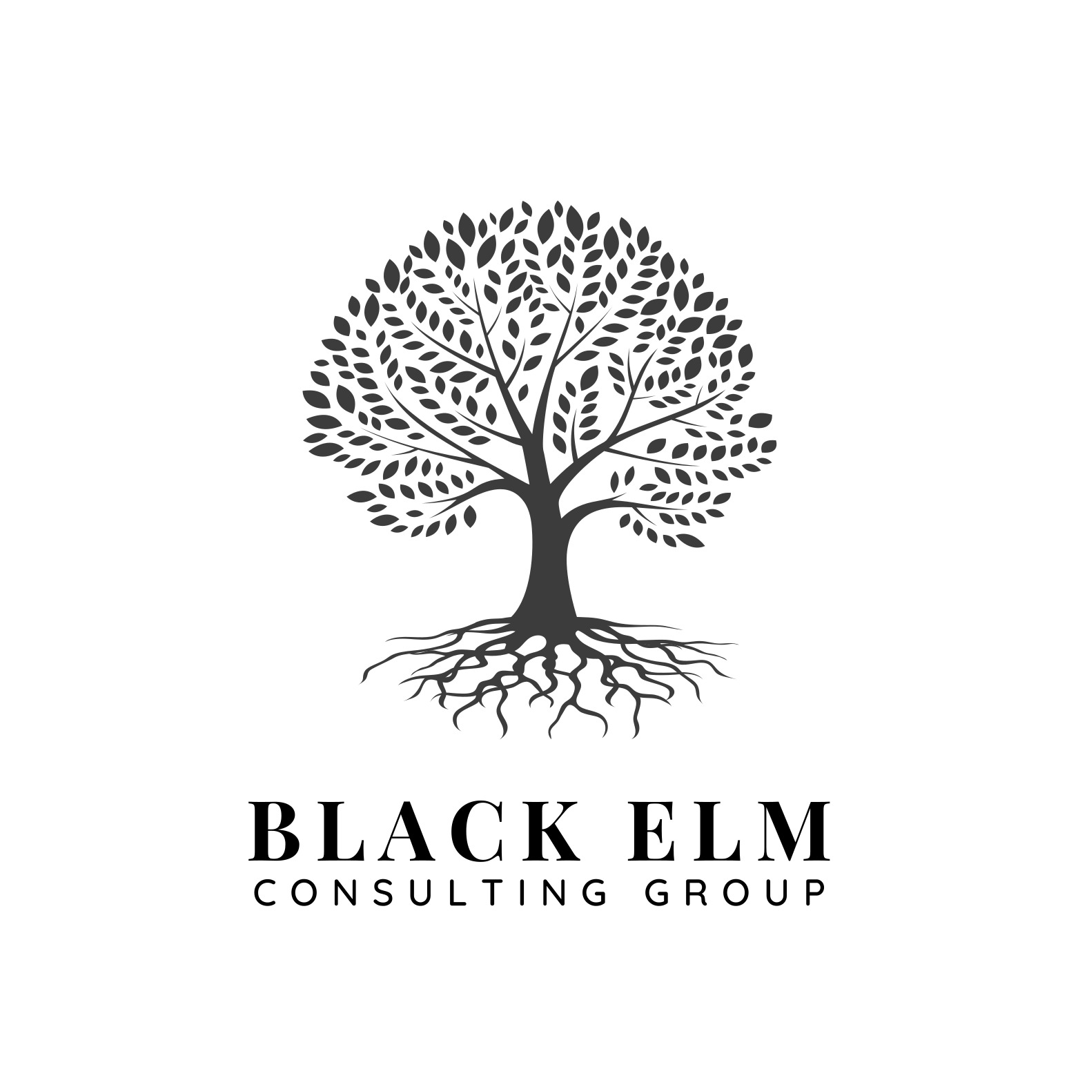 Black Elm