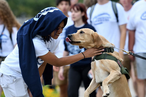 The University of Akron Zips Invade 100 list