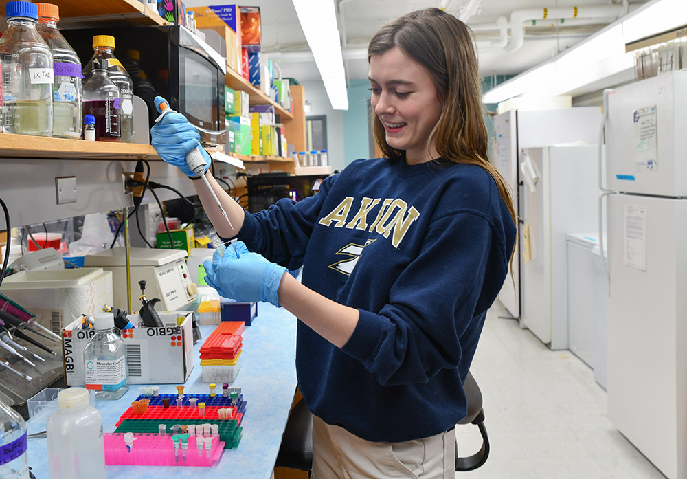 Student working in a lab