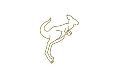 gold outline drawing of kangaroo