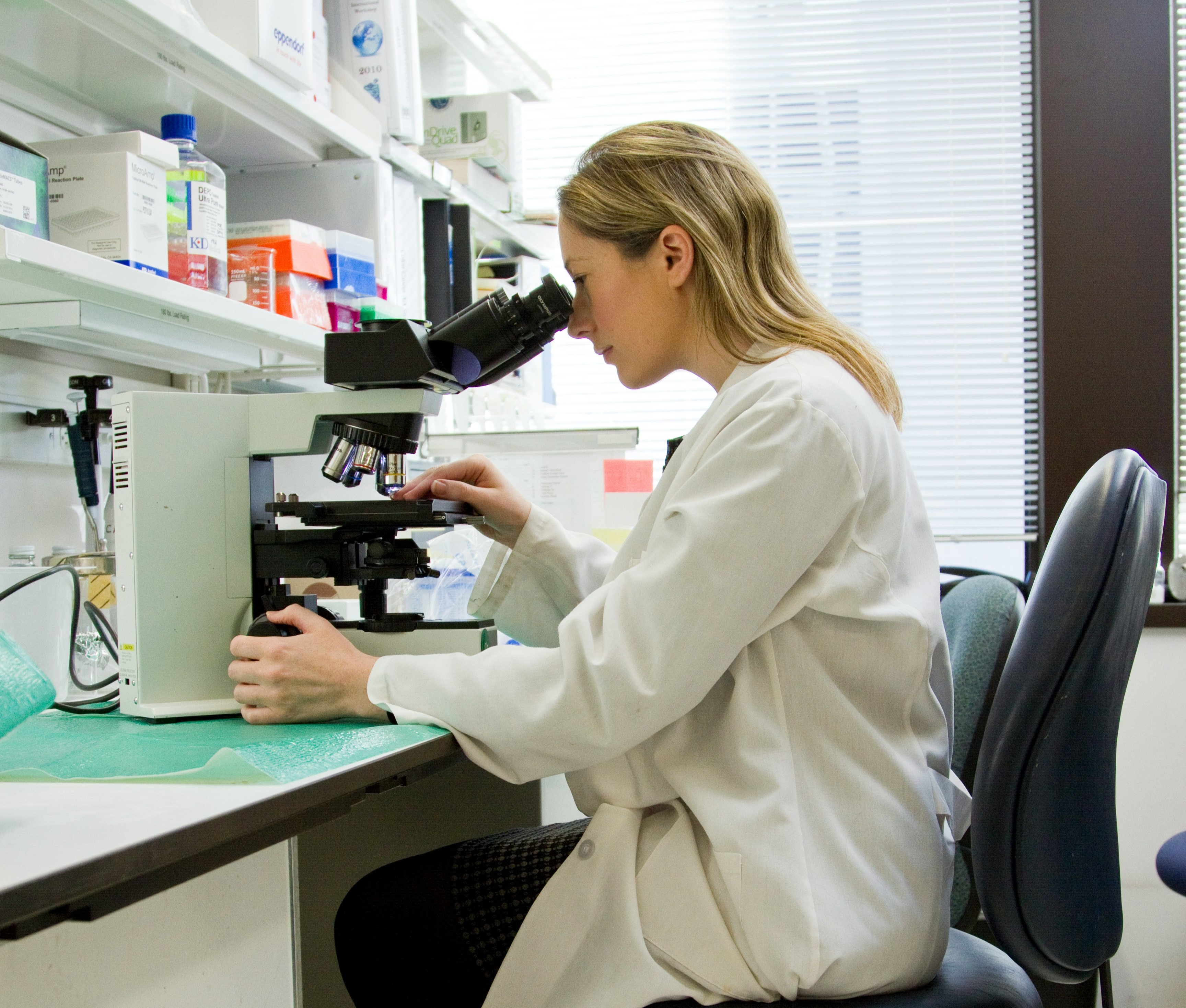 A scientist in a white lab coat looks into a microscope at a laboratory desk, surrounded by shelves with lab supplies and a window in the background.