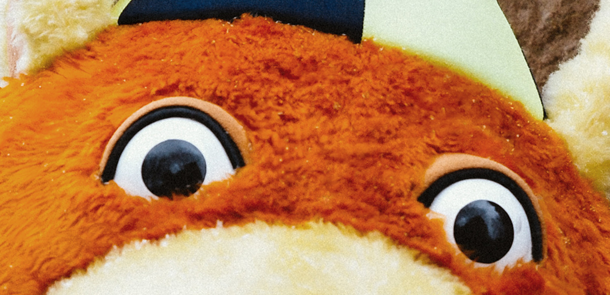 Close-up of University of Akrons mascot, Zippy. Plushy brown fur, large round eyes, and part of a yellow hat visible at the top.