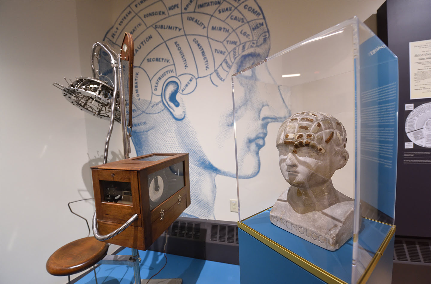 Gemini said An exhibit at the Archives of the History of American Psychology featuring a phrenology bust in a glass case, a large phrenological diagram of a head on the wall, and a vintage psychograph machine.