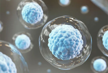 cell under a microscope