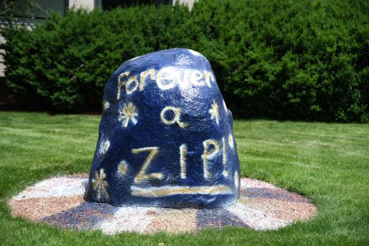 A large rock painted dark blue with yellow writing that says “Forever a ZIP!” is displayed on a patch of grass, with bushes and a building in the background. White and yellow star shapes decorate the rock.