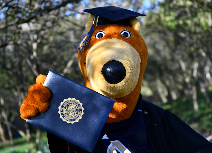 A costumed kangaroo mascot in a graduation cap and gown holds a diploma outdoors, with trees blurred in the background.