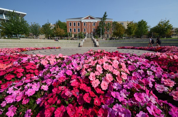 Buchtel Hall flowers