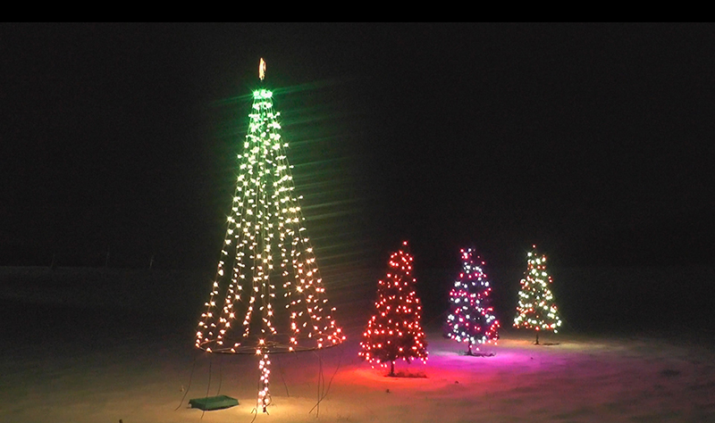 Lighted-trees-800